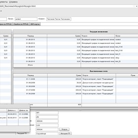 FLEX: Information about login